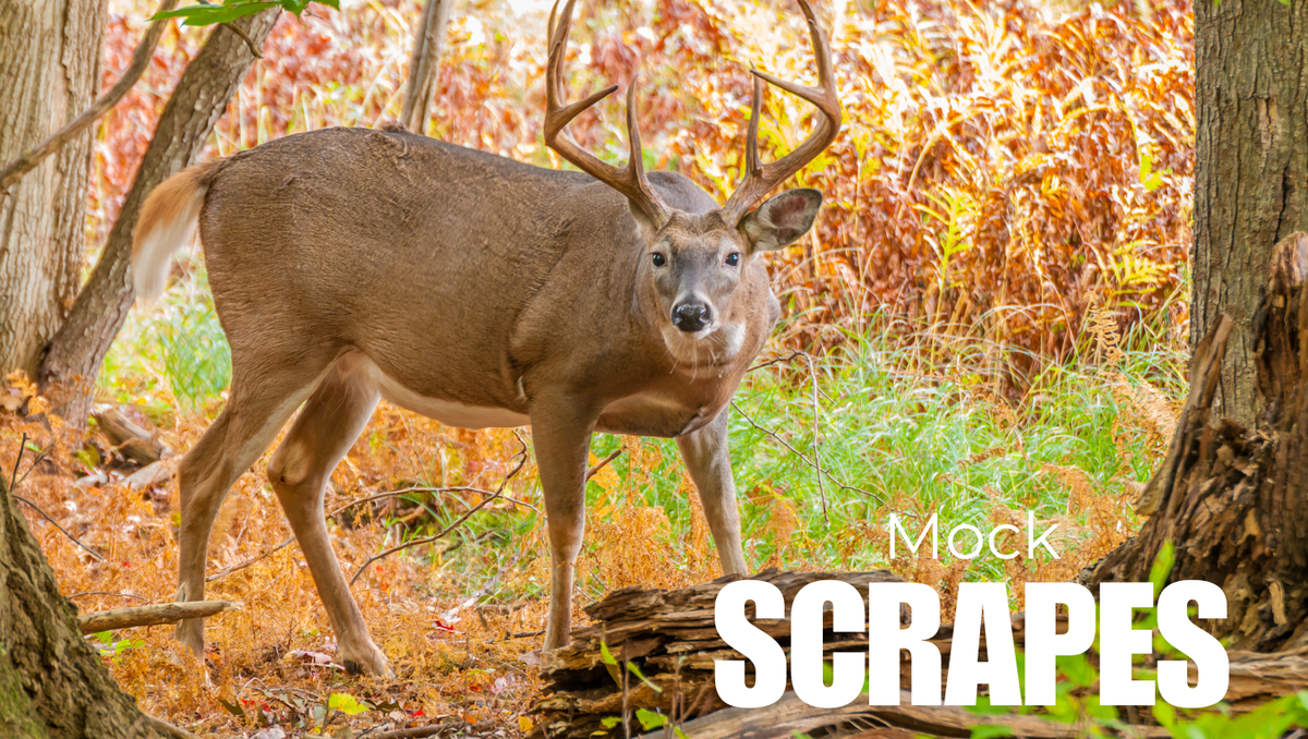 Mock Scrapes: The Ultimate Guide to Triggering Pre-Rut Bucks