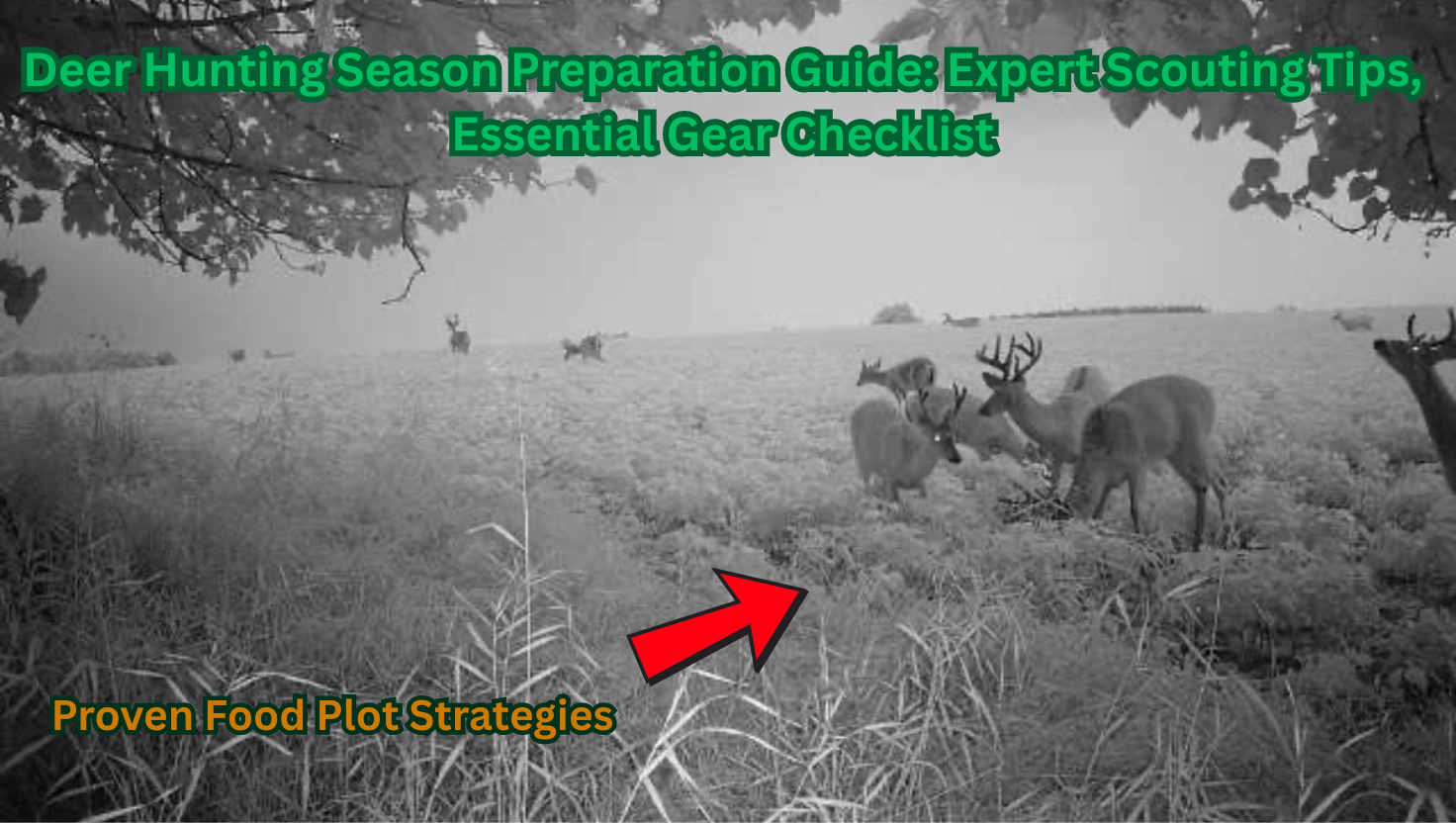 Group of whitetail deer, including several trophy bucks with large antlers, feeding in a lush green food plot during late summer, prime preparation for deer hunting season.